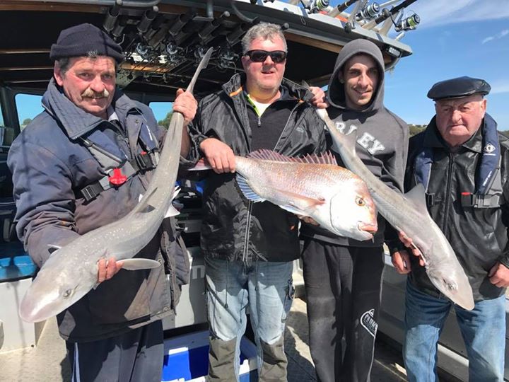 Fishing Bass Strait