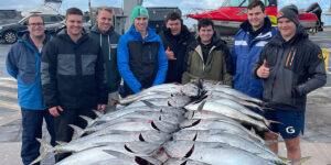 Portland Blue Fin Tuna