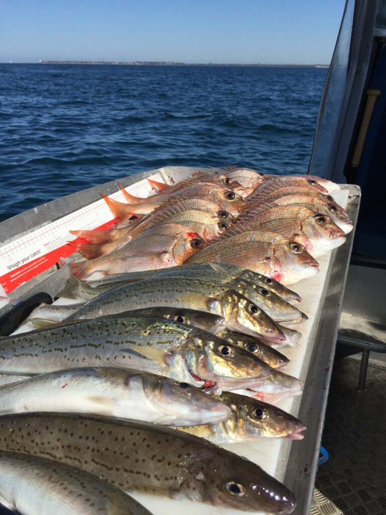 Whiting And Pinkies